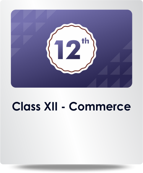 Class XII Commerce
